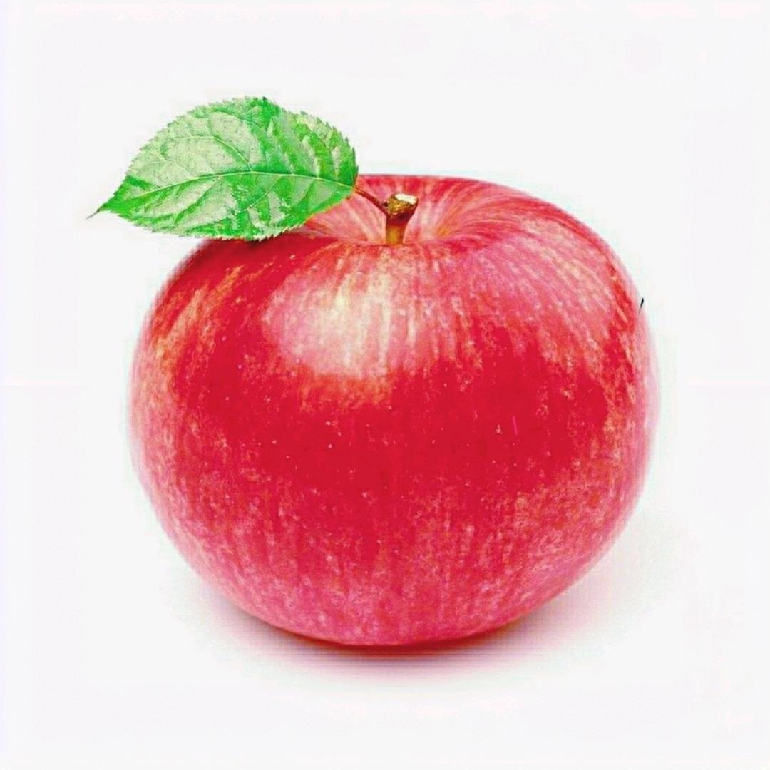 苹果苗