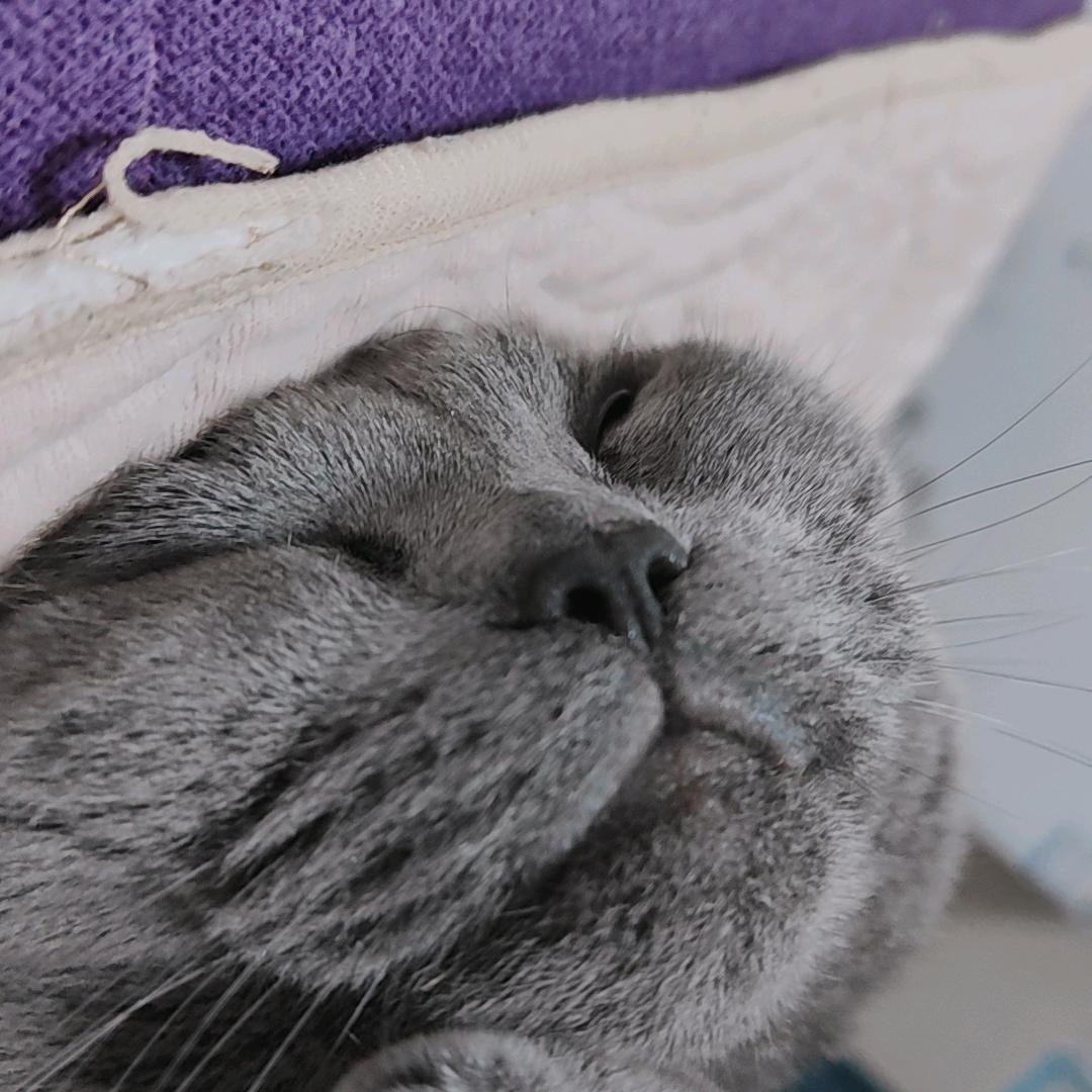 小慧