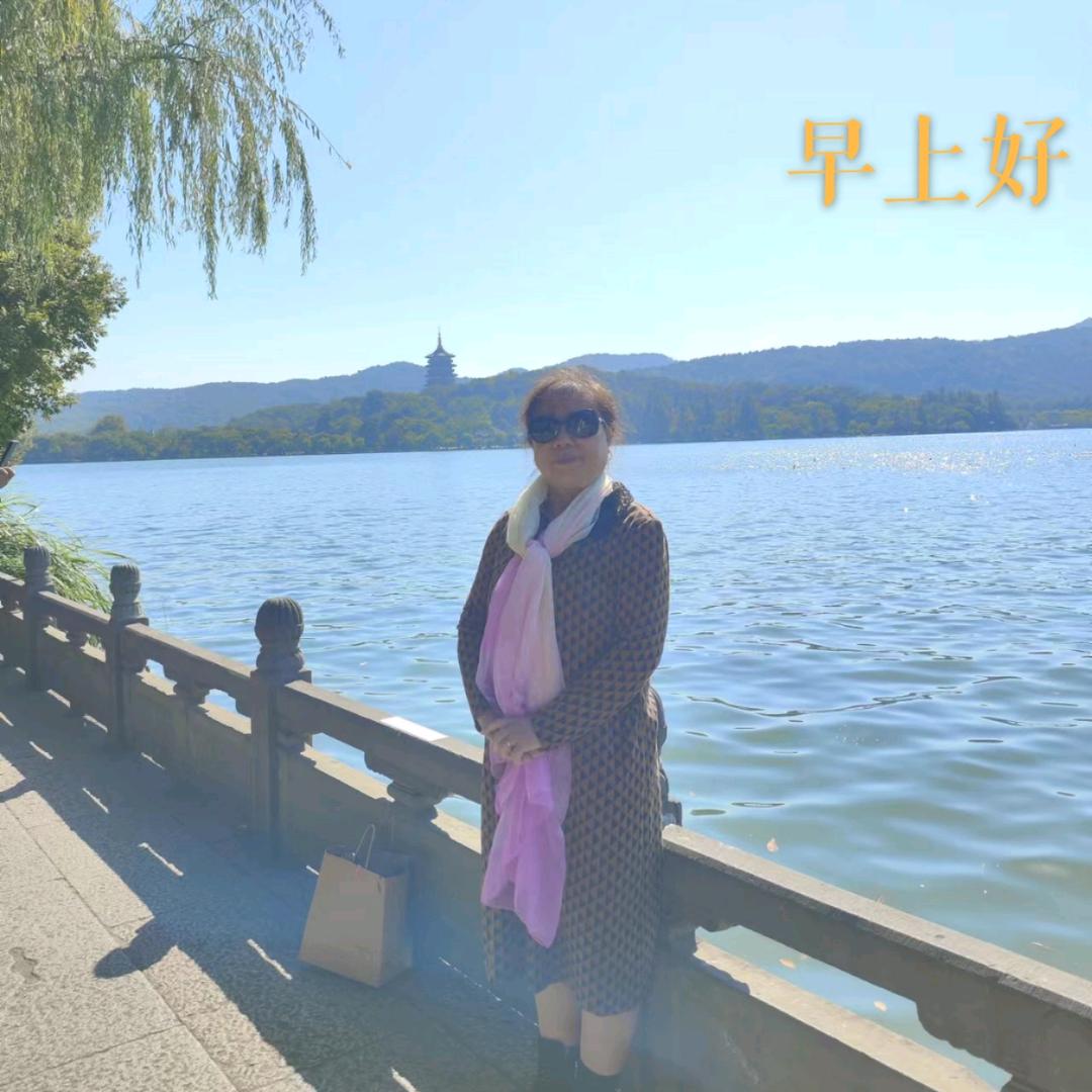 流金岁月
