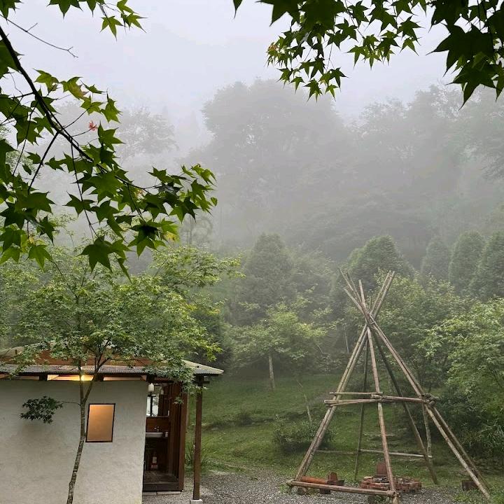 向往美好🌸🌸🥭🥭
