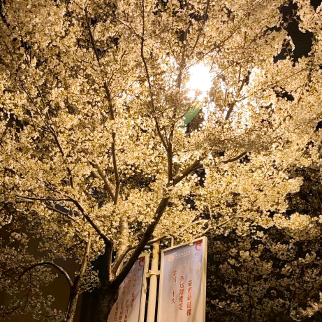 乌云散
