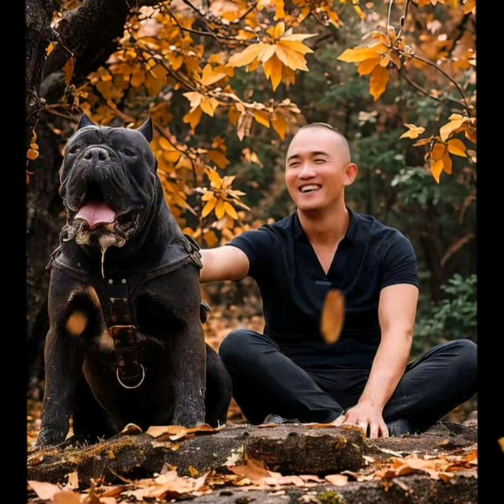 隔壁老王犬业~发动机犬舍