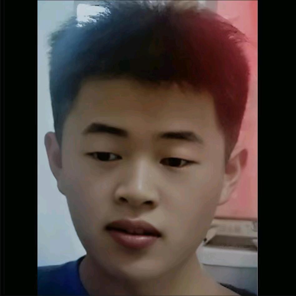 新战