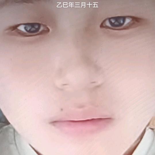 了了了了了
