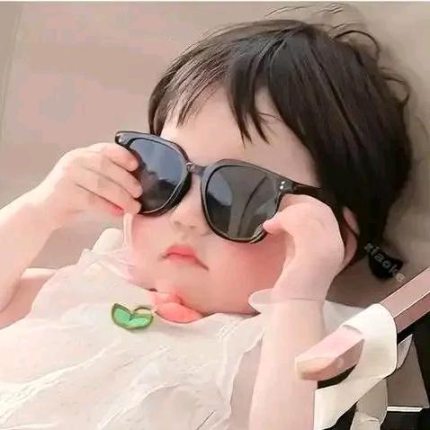 杰尼猪