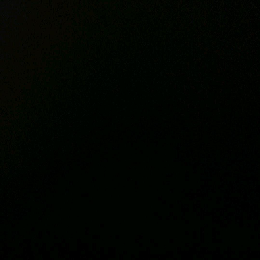 城南花已开