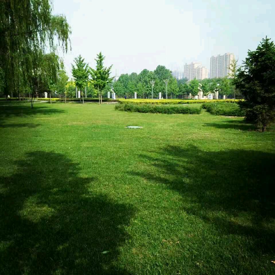 小胡闹