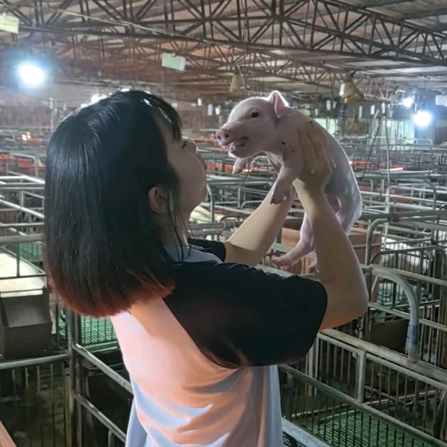 小武在养猪