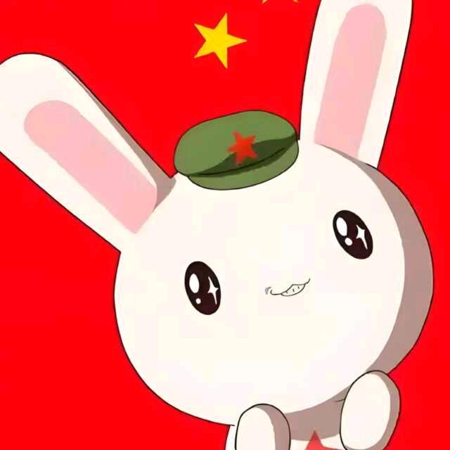 天天动画