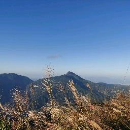 股市王《小白》