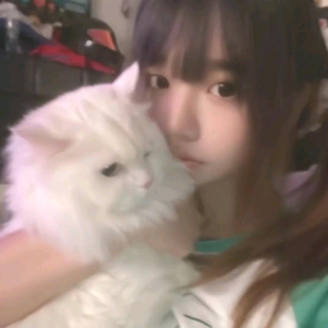 ¹杯冰⁸⁵半糖