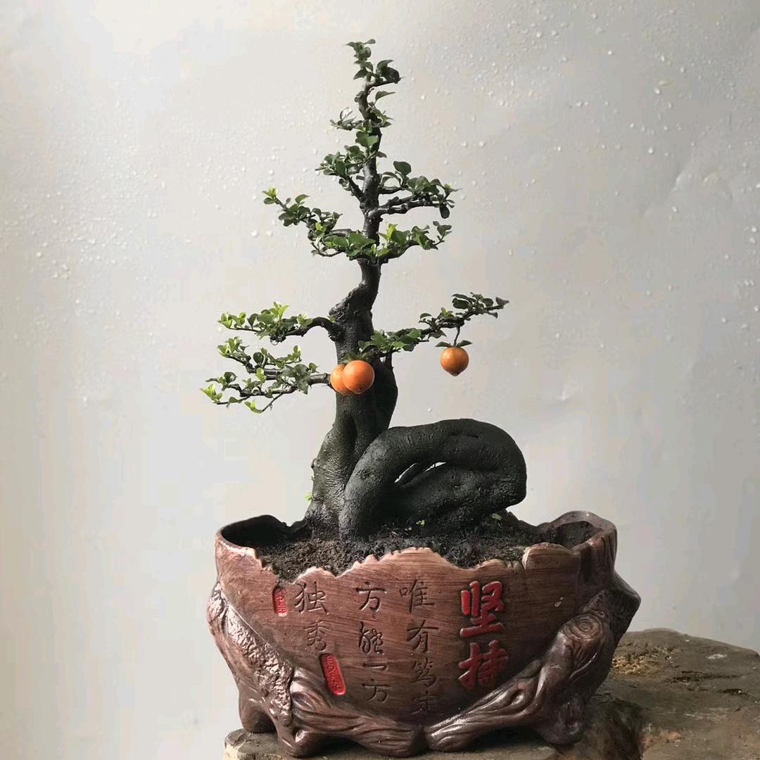 笑呵呵