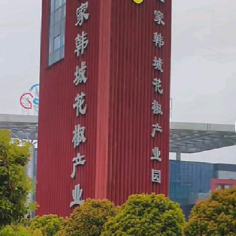 黄盖花椒【助农】