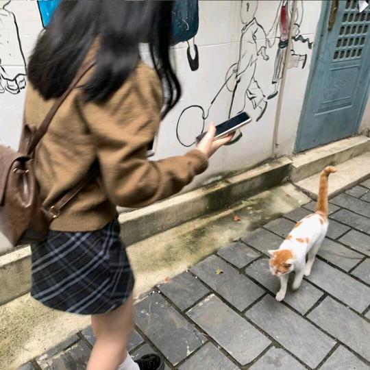 赵恩慧
