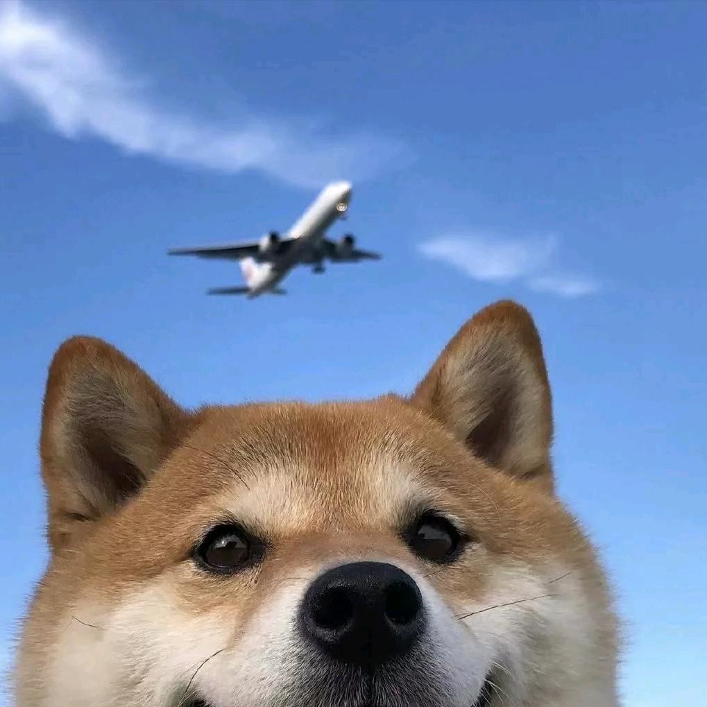 小杜爱生活