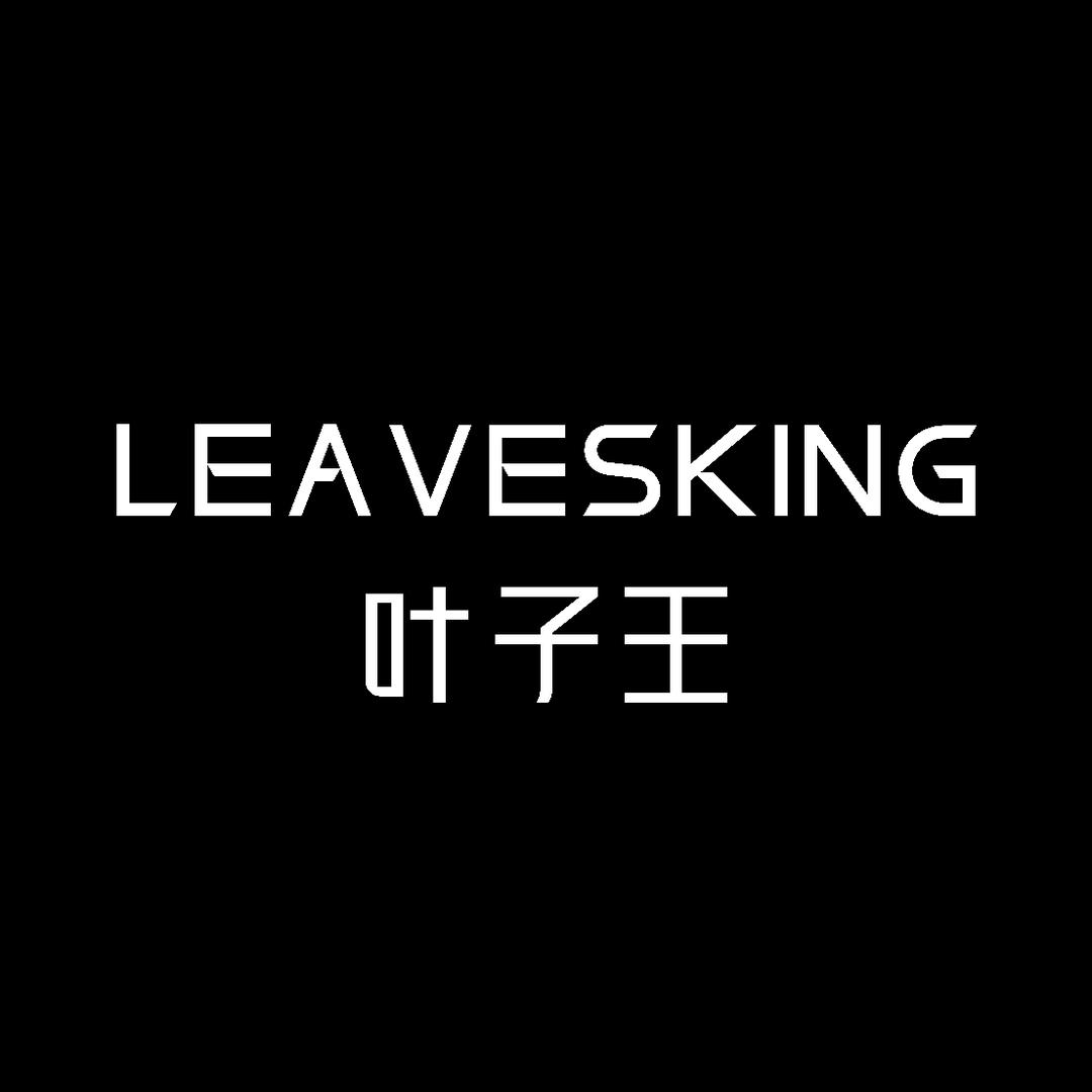 叶子王箱包厂二代奋斗版