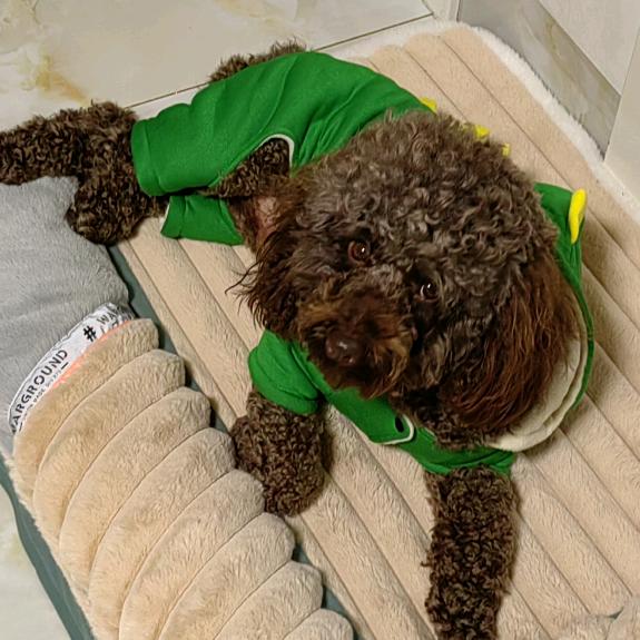 雨轩润泽🇨🇳