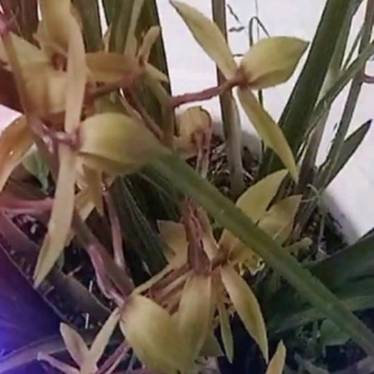 满意
