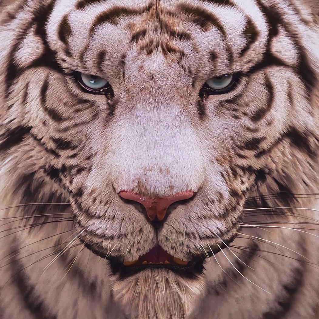 北京爱涟客科技有限公司