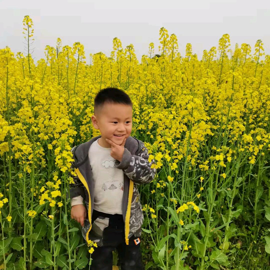 张某人。