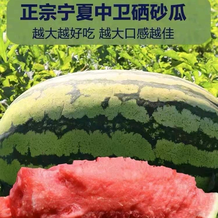 小丁硒砂瓜产地直供