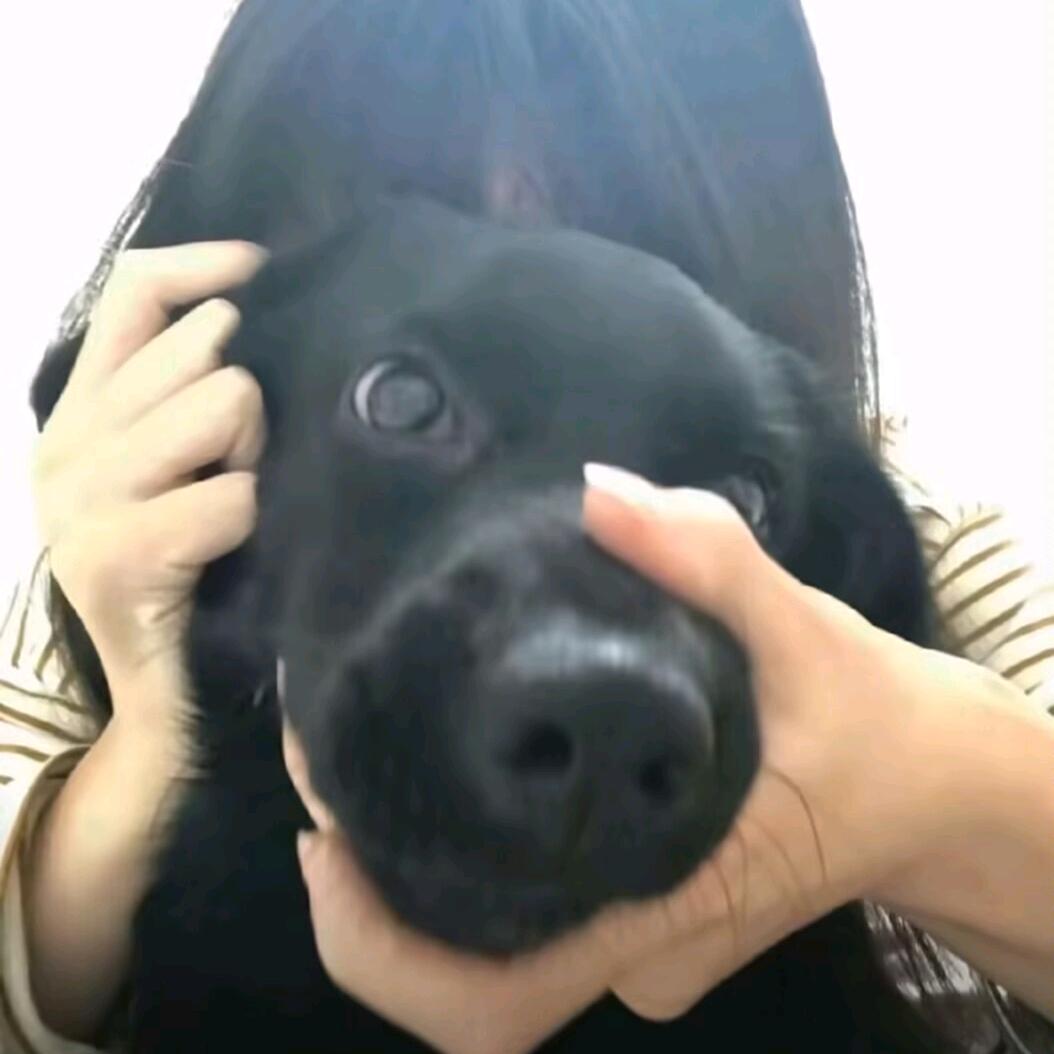 柚士家小张蹦蹦跳