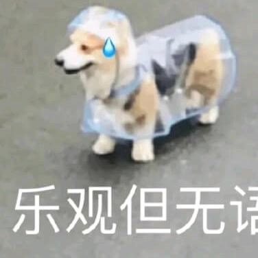 小鱼、