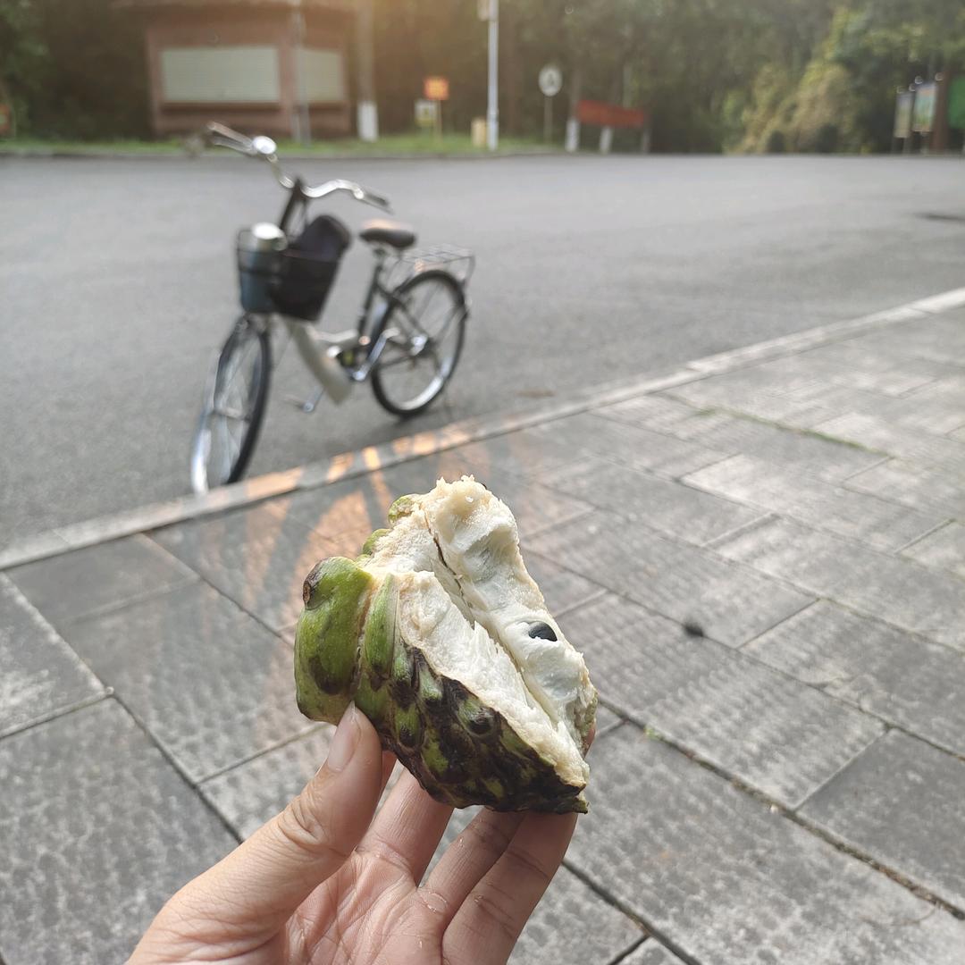 爱自然，爱生活。
