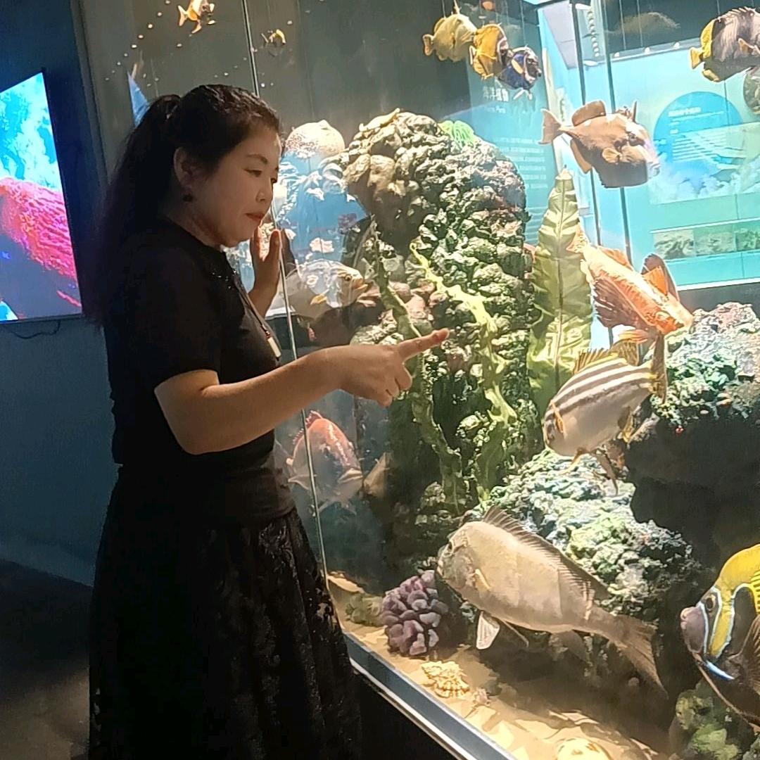 暗香疏影