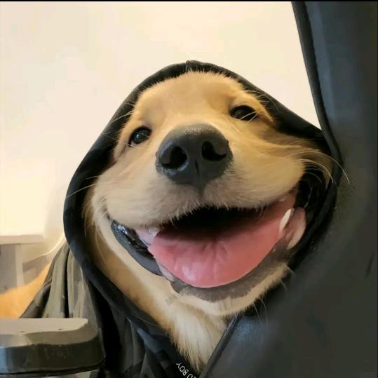 厂家直销包装机械设备～