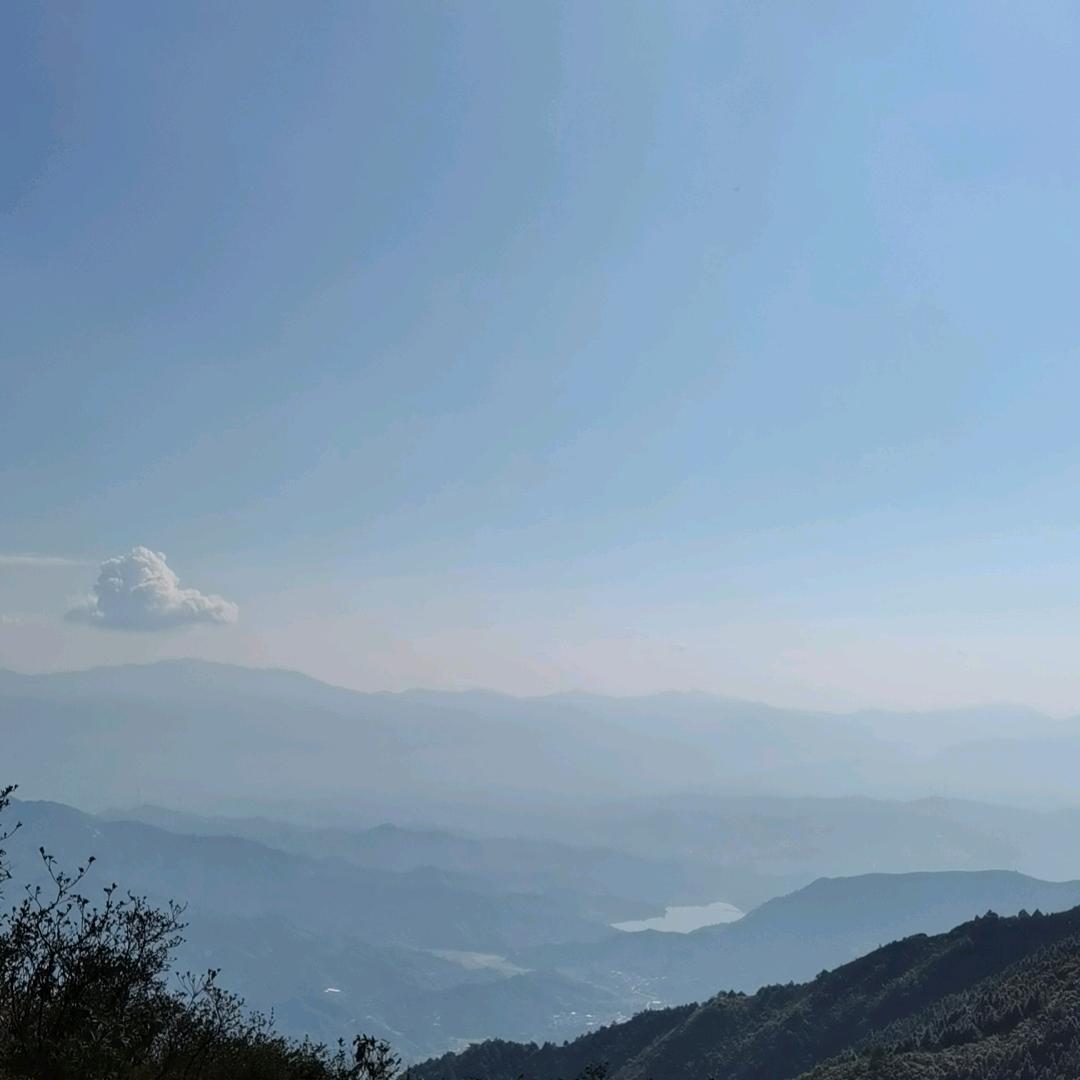飞度科技