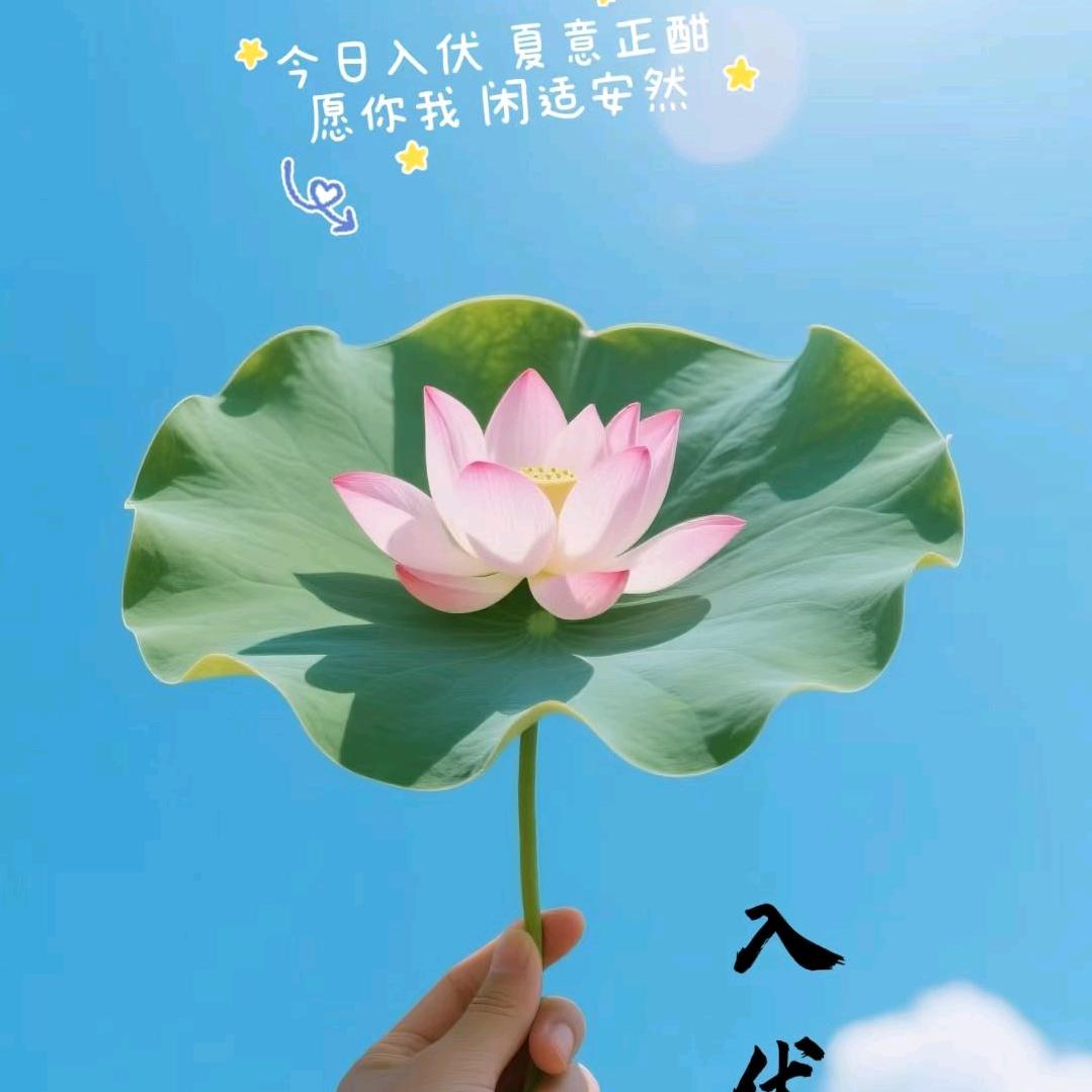 婴姿宝贝