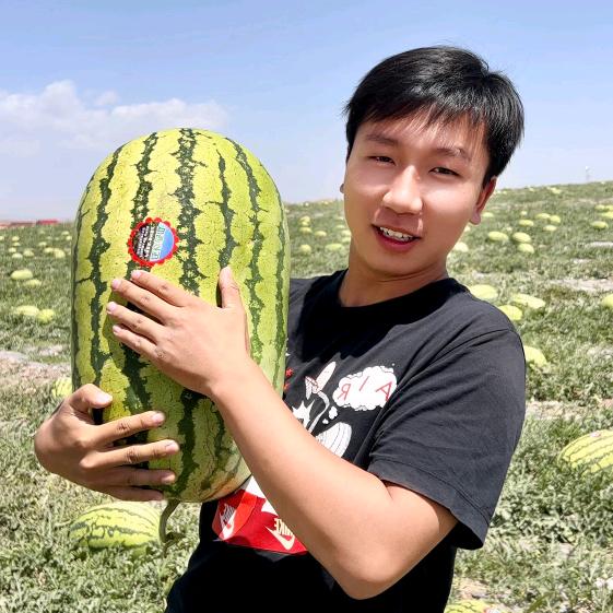 朱珉正-种了亩地®