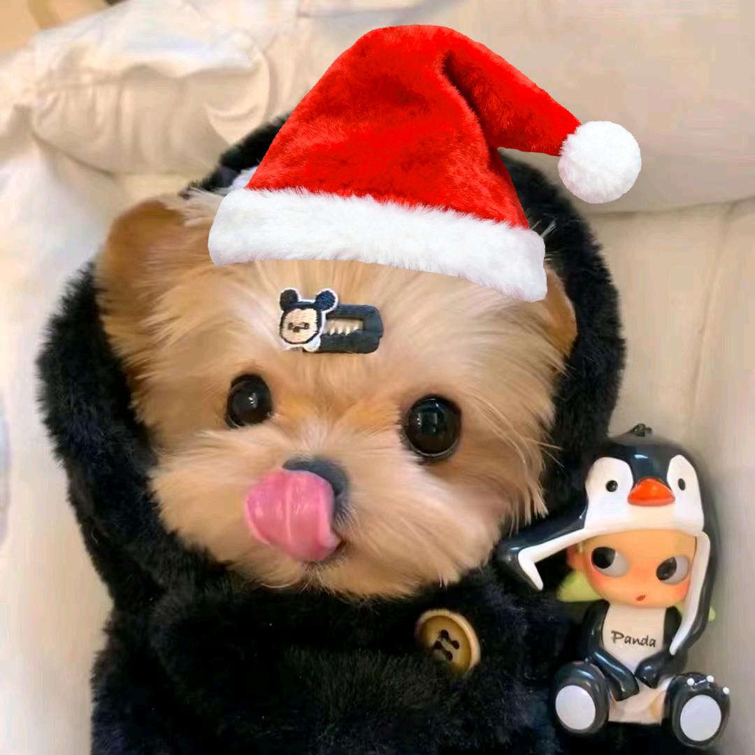 做个极致快乐的人.