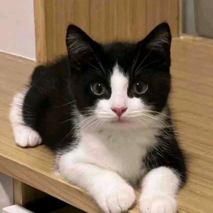 宝贝，爱:)𝔎𝔍🐰🐻