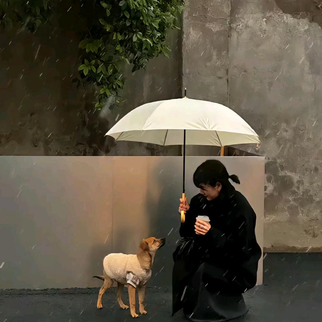 小雨🌊