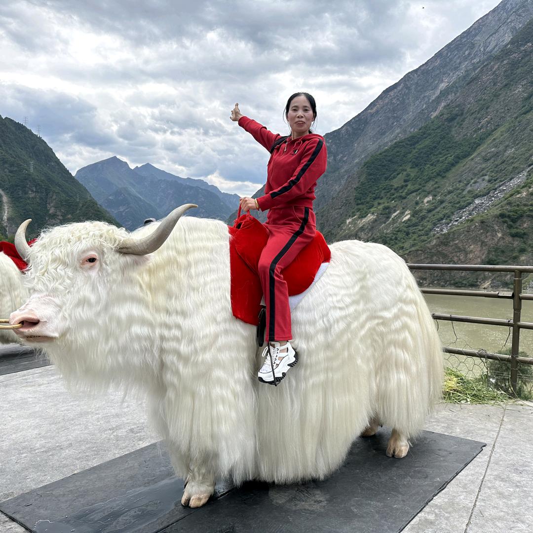 开心果