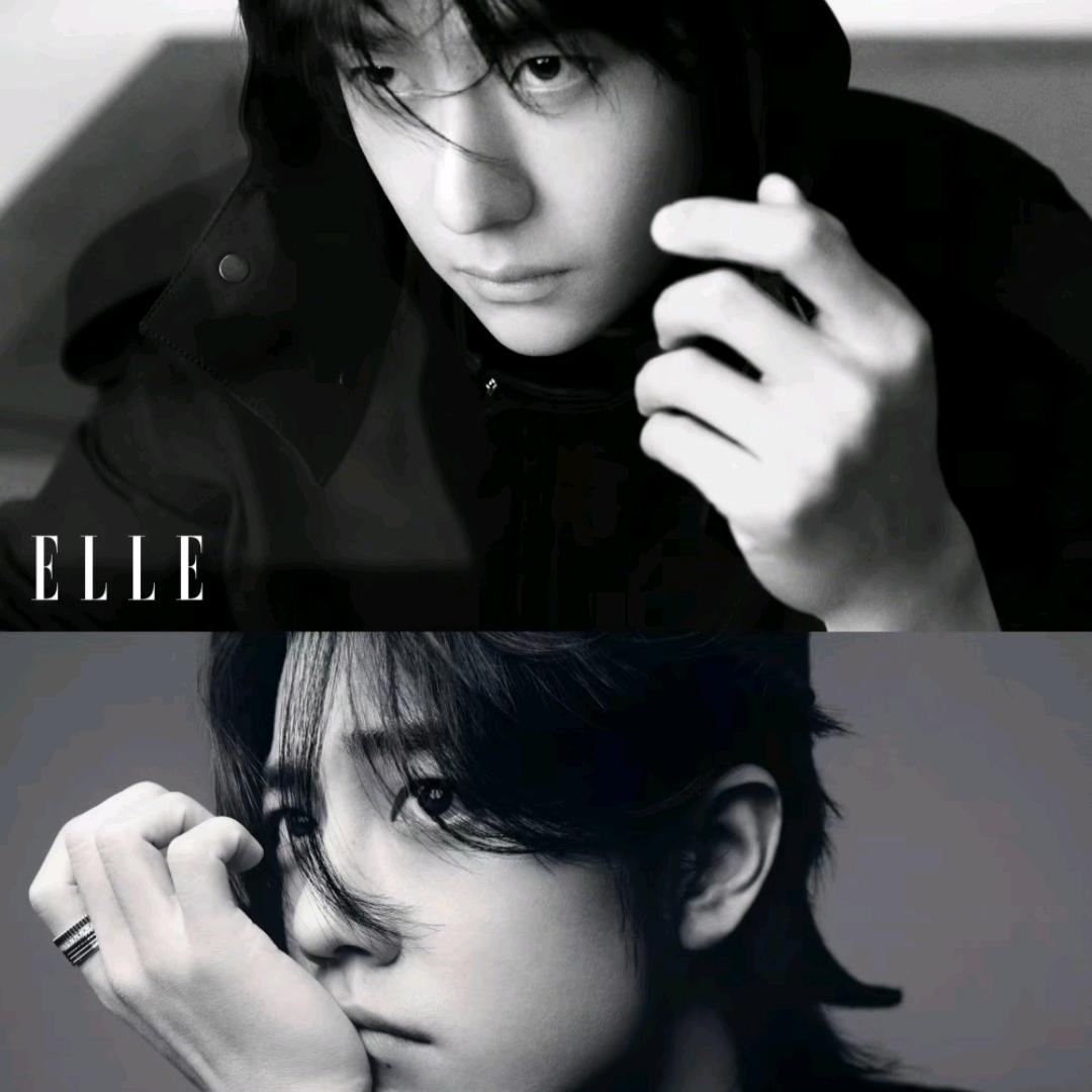 兔子🐰love狮子🦁