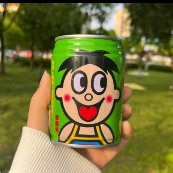 苦楝树
