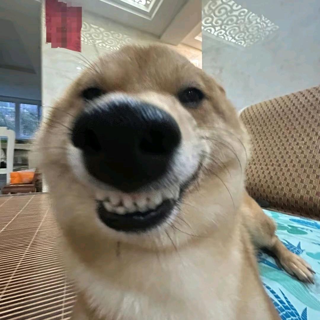 魔兽争霸-城南君