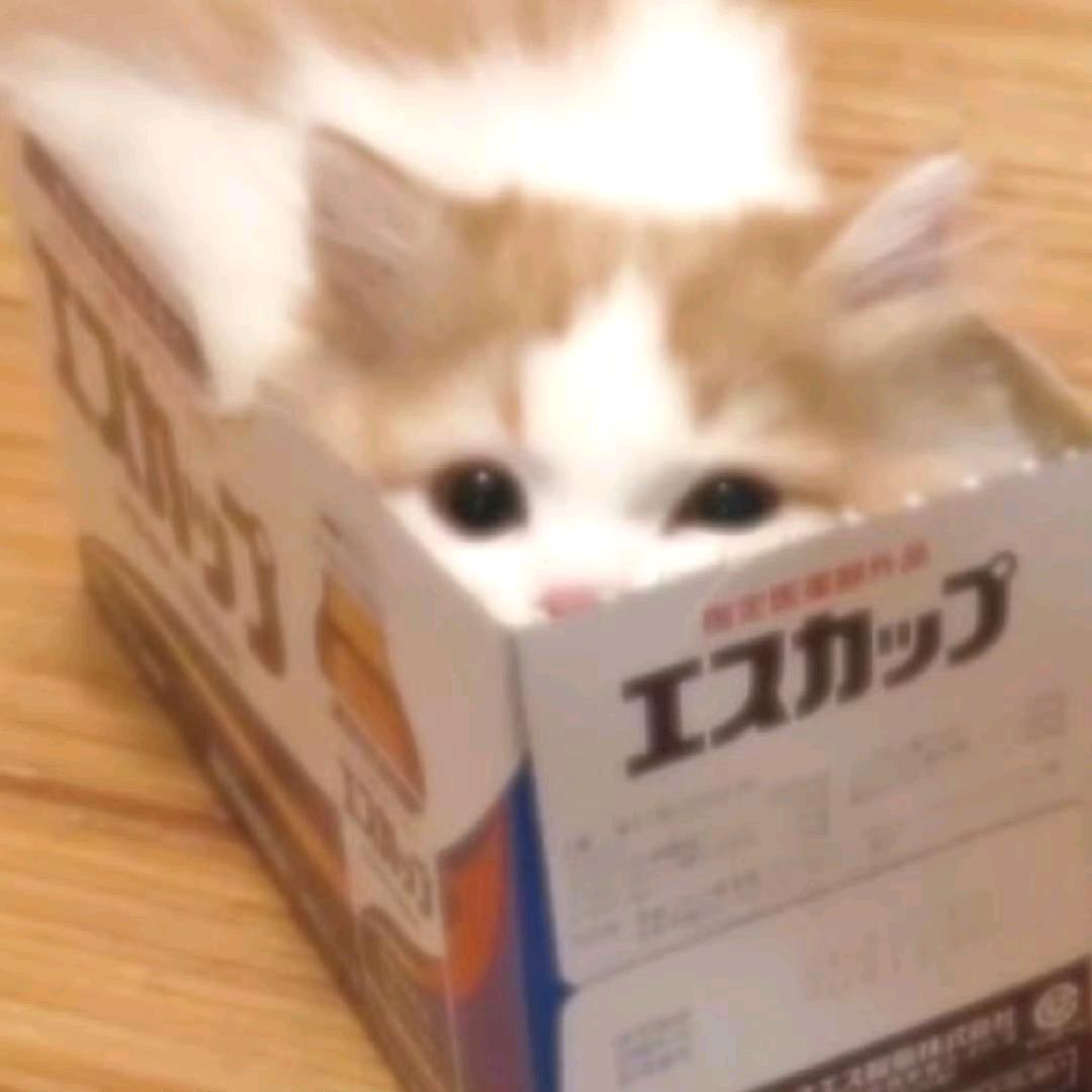 钰