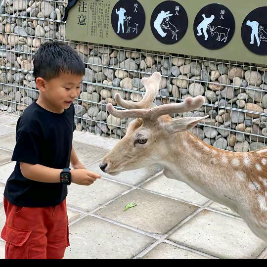 张佑奇