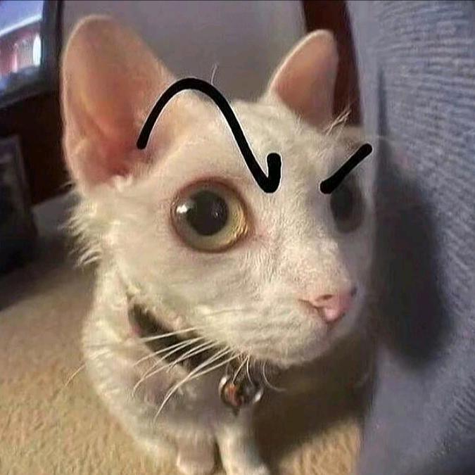 ai素萝头像