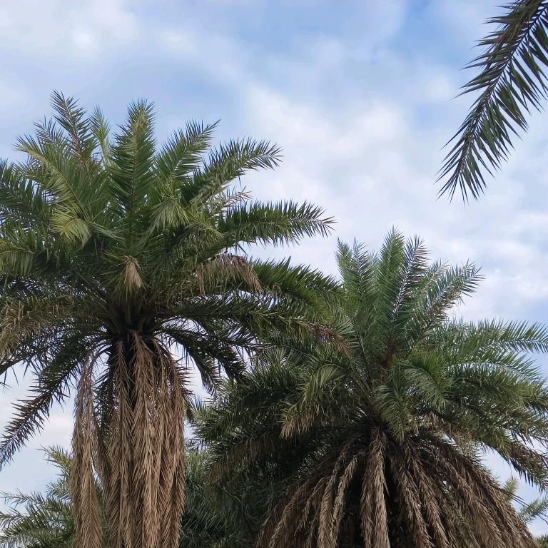 💥((🔥⥎🔥))💥