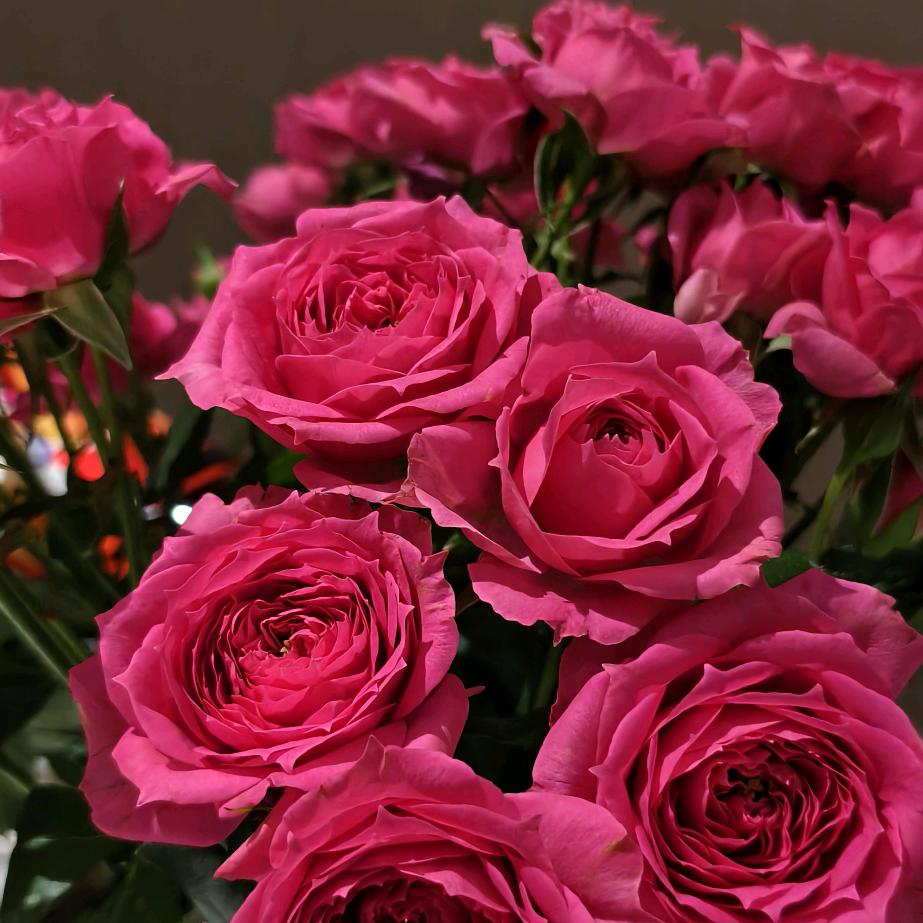 幸福快乐每一天