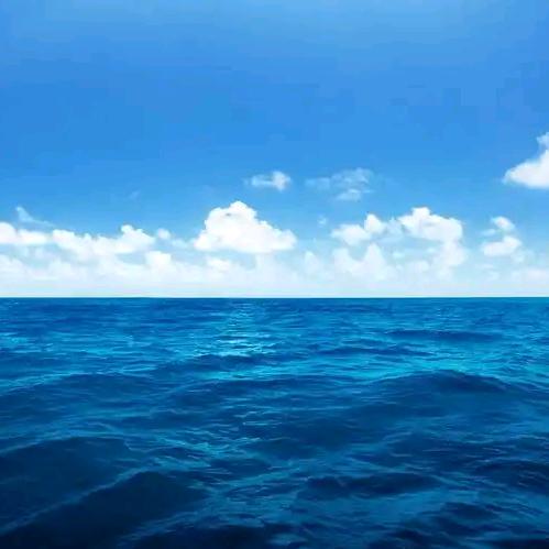 招远市瑞彤生鲜超市