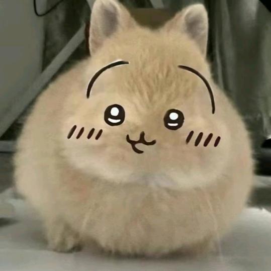 💩拉屎大王👑