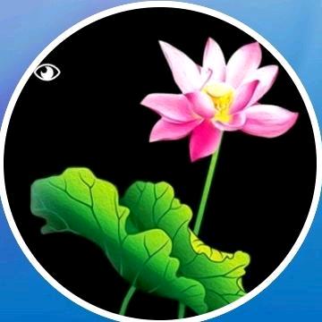 唐县乾坤圆迎亲花轿传媒马庄大舞台，联