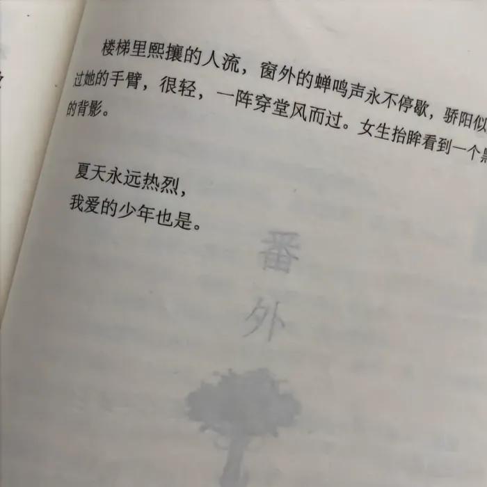 舒克呼叫贝塔