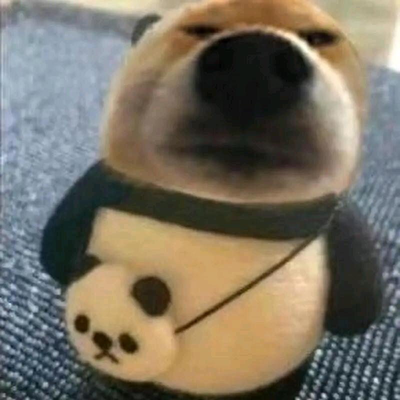 o.o